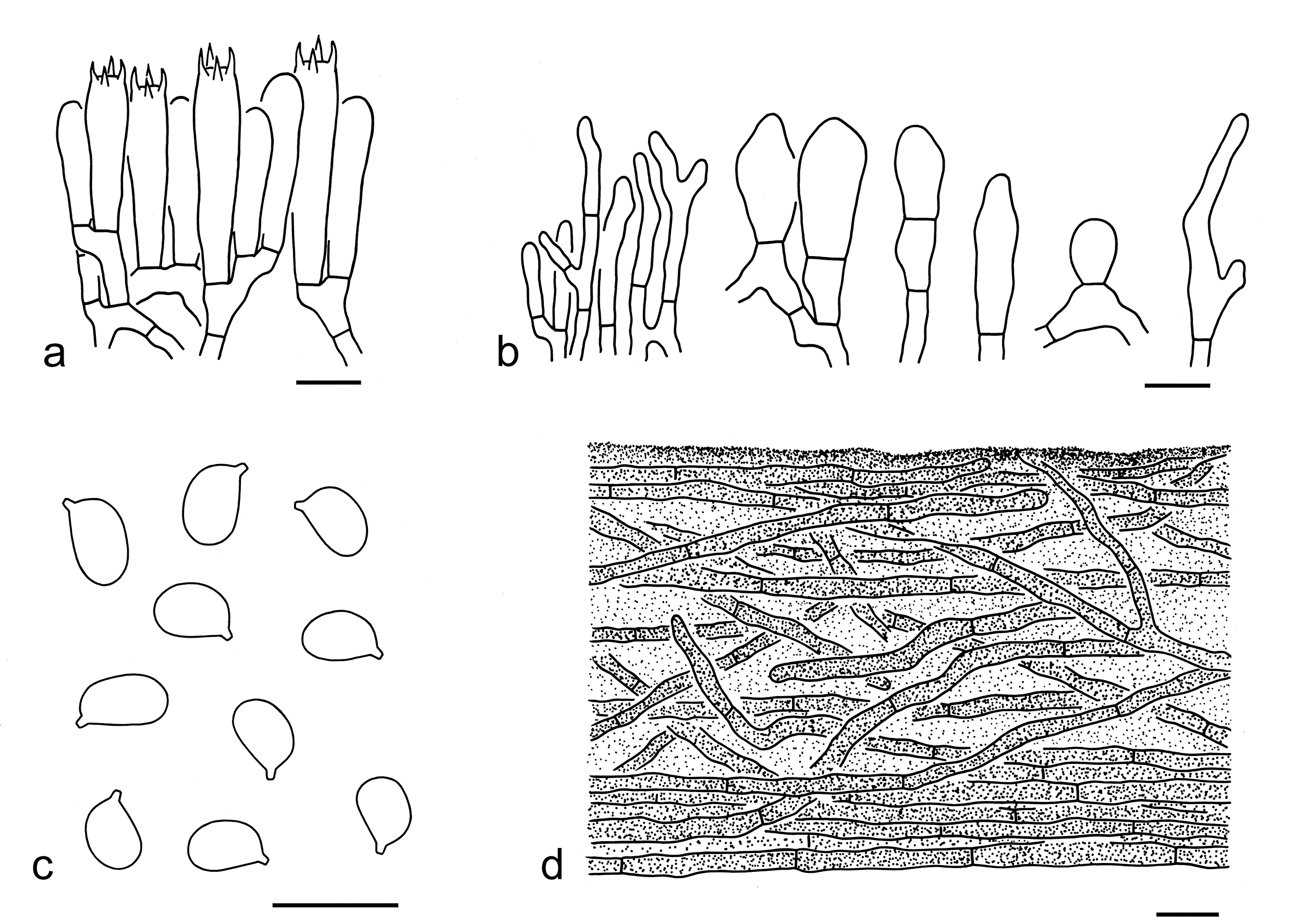 Figure 43